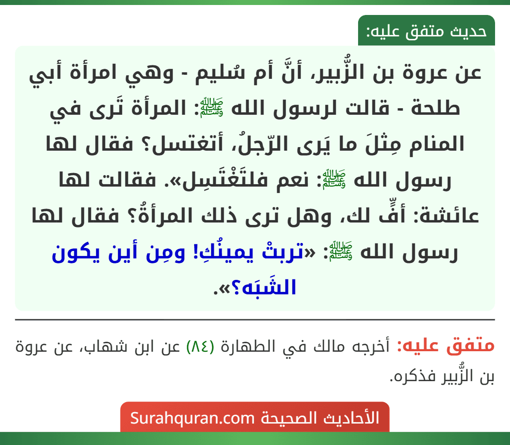 عن عروة بن الزُّبير، أنَّ أم سُليم - وهي امرأة أبي طلحة - قالت لرسول الله ﷺ: المرأة تَرى في المنام مِثلَ ما يَرى الرّجلُ، أتغتسل؟ فقال لها رسول الله ﷺ: نعم فلتَغْتَسِل». فقالت لها عائشة: أفٍّ لك، وهل ترى ذلك المرأةُ؟ فقال لها رسول الله ﷺ: «تربتْ يمينُكِ! ومِن أين يكون الشَبَه؟». عن عروة بن الزُّبير، أنَّ أم سُليم - وهي امرأة أبي طلحة - قالت لرسول الله ﷺ: المرأة تَرى في المنام مِثلَ ما يَرى الرّجلُ، أتغتسل؟ فقال لها رسول الله ﷺ: نعم فلتَغْتَسِل». فقالت لها عائشة: أفٍّ لك، وهل ترى ذلك المرأةُ؟ فقال لها رسول الله ﷺ: «تربتْ يمينُكِ! ومِن أين يكون الشَبَه؟».