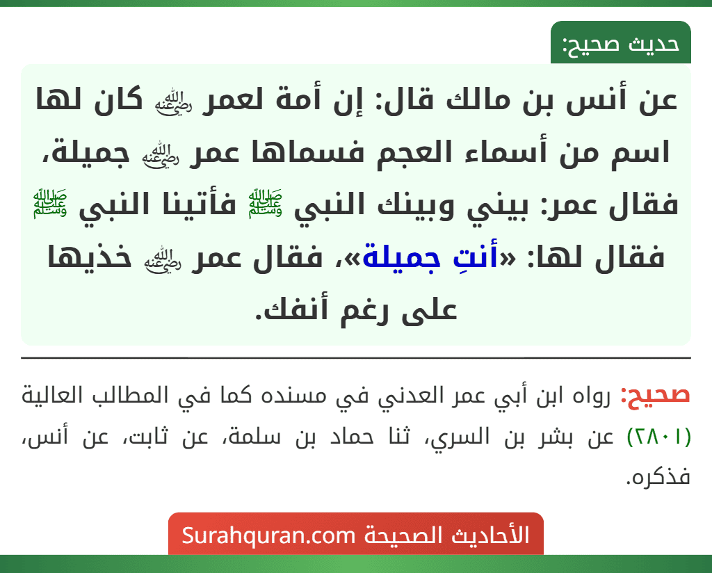 عن أنس بن مالك قال: إن أمة لعمر ﵁ كان لها اسم من أسماء العجم فسماها عمر ﵁ جميلة، فقال عمر: بيني وبينك النبي ﷺ فأتينا النبي ﷺ فقال لها: «أنتِ جميلة»، فقال عمر ﵁ خذيها على رغم أنفك.