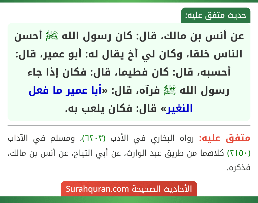 عن أنس بن مالك، قال: كان رسول الله ﷺ أحسن الناس خلقا، وكان لي أخ يقال له: أبو عمير، قال: أحسبه، قال: كان فطيما، قال: فكان إذا جاء رسول الله ﷺ فرآه، قال: «أبا عمير ما فعل النغير» قال: فكان يلعب به.