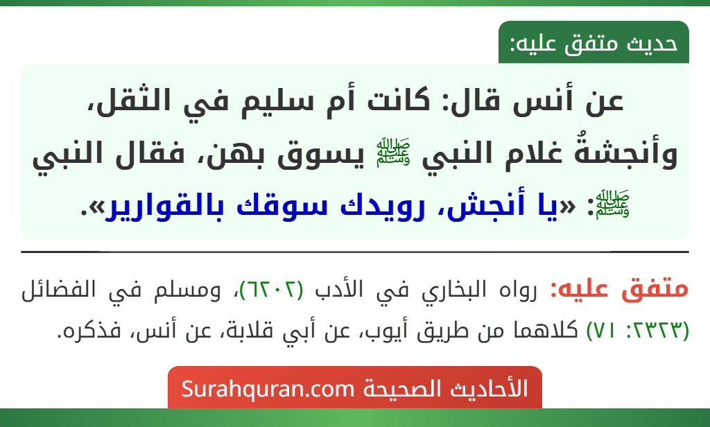 عن أنس قال: كانت أم سليم في الثقل، وأنجشةُ غلام النبي ﷺ يسوق بهن، فقال النبي ﷺ: «يا أنجش، رويدك سوقك بالقوارير».
