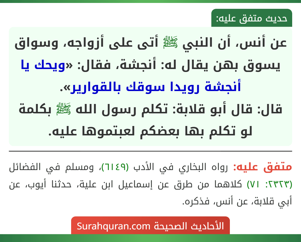 عن أنس، أن النبي ﷺ أتى على أزواجه، وسواق يسوق بهن يقال له: أنجشة، فقال: «ويحك يا أنجشة رويدا سوقك بالقوارير».
قال: قال أبو قلابة: تكلم رسول الله ﷺ بكلمة لو تكلم بها بعضكم لعبتموها عليه.
