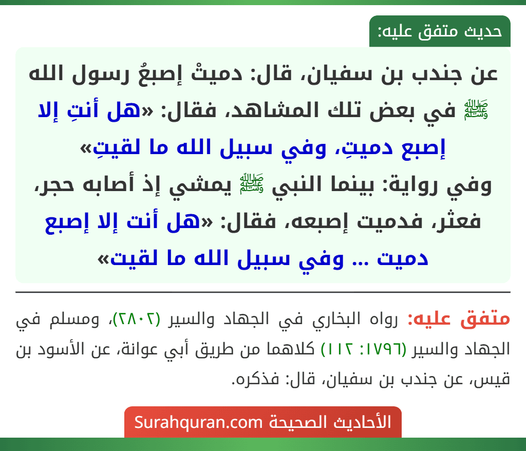 عن جندب بن سفيان، قال: دميتْ إصبعُ رسول الله ﷺ في بعض تلك المشاهد، فقال: «هل أنتِ إلا إصبع دميتِ، وفي سبيل الله ما لقيتِ»
وفي رواية: بينما النبي ﷺ يمشي إذ أصابه حجر، فعثر، فدميت إصبعه، فقال: «هل أنت إلا إصبع دميت ... وفي سبيل الله ما لقيت»