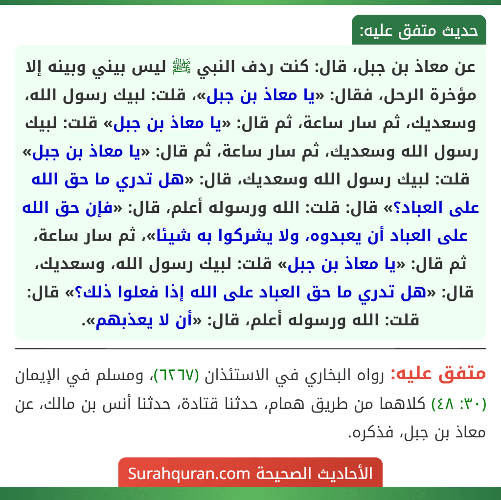 عن معاذ بن جبل، قال: كنت ردف النبي ﷺ ليس بيني وبينه إلا مؤخرة الرحل، فقال: «يا معاذ بن جبل»، قلت: لبيك رسول الله، وسعديك، ثم سار ساعة، ثم قال: «يا معاذ بن جبل» قلت: لبيك رسول الله وسعديك، ثم سار ساعة، ثم قال: «يا معاذ بن جبل» قلت: لبيك رسول الله وسعديك، قال: «هل تدري ما حق الله على العباد؟» قال: قلت: الله ورسوله أعلم، قال: «فإن حق الله على العباد أن يعبدوه، ولا يشركوا به شيئا»، ثم سار ساعة، ثم قال: «يا معاذ بن جبل» قلت: لبيك رسول الله، وسعديك، قال: «هل تدري ما حق العباد على الله إذا فعلوا ذلك؟» قال: قلت: الله ورسوله أعلم، قال: «أن لا يعذبهم».