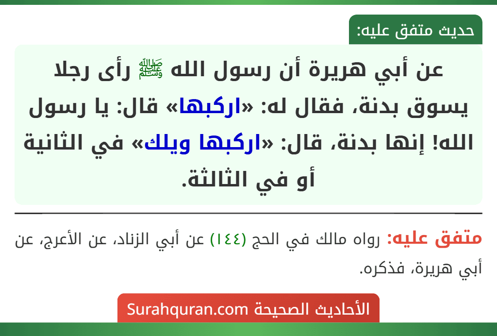 عن أبي هريرة أن رسول الله ﷺ رأى رجلا يسوق بدنة، فقال له: «اركبها» قال: يا رسول الله! إنها بدنة، قال: «اركبها ويلك» في الثانية أو في الثالثة.