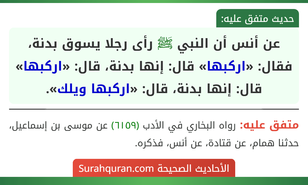 عن أنس أن النبي ﷺ رأى رجلا يسوق بدنة، فقال: «اركبها» قال: إنها بدنة، قال: «اركبها» قال: إنها بدنة، قال: «اركبها ويلك».