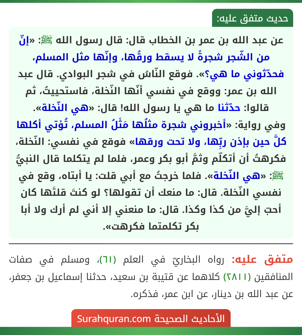 عن عبد الله بن عمر بن الخطاب قال: قال رسول الله ﷺ: «إنّ من الشّجر شجرةً لا يسقط ورقُها، وإنّها مثل المسلم، فحدّثوني ما هي؟». فوقع النّاسُ في شجر البوادي. قال عبد الله بن عمر: ووقع في نفسي أنّها النّخلة، فاستحييتُ، ثم قالوا: حدّثنا ما هي يا رسول الله! قال: «هي النّخلة».
وفي رواية: «أخبروني شجرة مثلُها مَثَلُ المسلم، تُؤتي أكلها كلَّ حين بإذن ربِّها، ولا تحت ورقها» فوقع في نفسي: النّخلة، فكرهتُ أن أتكلّم وثمَّ أبو بكر وعمر، فلما لم يتكلما قال النبيُّ ﷺ: «هي النّخلة». فلما خرجتُ مع أبي قلت: يا أبتاه، وقع في نفسي النّخلة. قال: ما منعك أن تقولها؟ لو كنتَ قلتَها كان أحبّ إليَّ من كذا وكذا. قال: ما منعني إلا أني لم أرك ولا أبا بكر تكلمتما فكرهت».