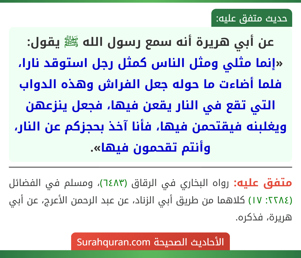 عن أبي هريرة أنه سمع رسول الله ﷺ يقول: «إنما مثلي ومثل الناس كمثل رجل استوقد نارا، فلما أضاءت ما حوله جعل الفراش وهذه الدواب التي تقع في النار يقعن فيها، فجعل ينزعهن ويغلبنه فيقتحمن فيها، فأنا آخذ بحجزكم عن النار، وأنتم تقحمون فيها».