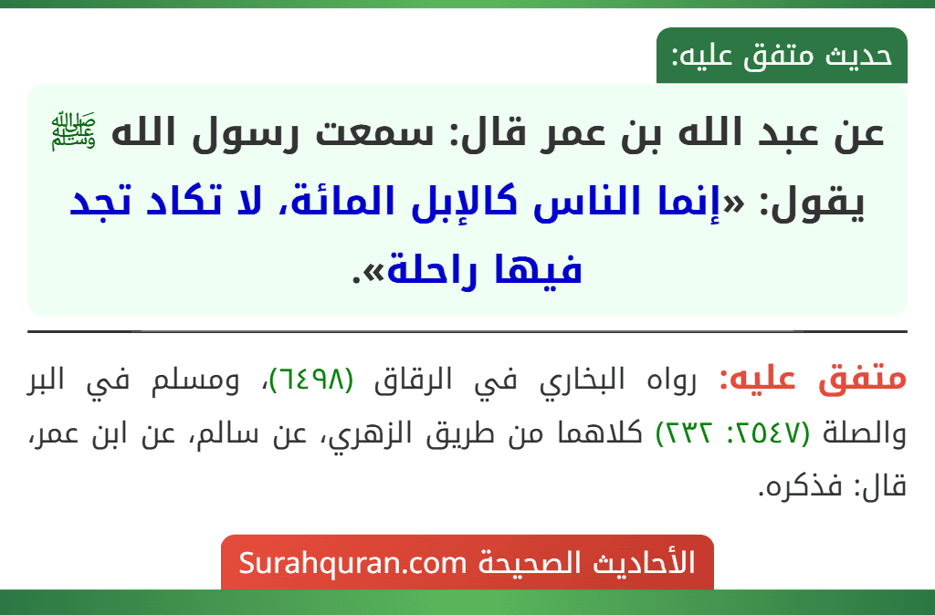 عن عبد الله بن عمر قال: سمعت رسول الله ﷺ يقول: «إنما الناس كالإبل المائة، لا تكاد تجد فيها راحلة».