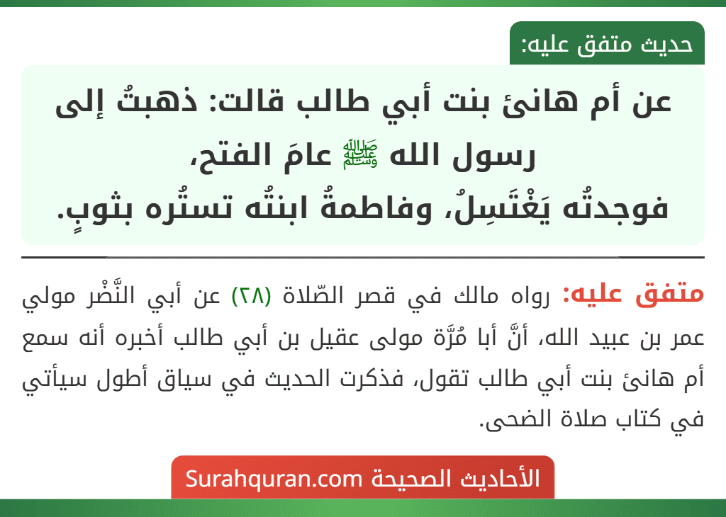 عن أم هانئ بنت أبي طالب قالت: ذهبتُ إلى رسول الله ﷺ عامَ الفتح،
فوجدتُه يَغْتَسِلُ، وفاطمةُ ابنتُه تستُره بثوبٍ. عن أم هانئ بنت أبي طالب قالت: ذهبتُ إلى رسول الله ﷺ عامَ الفتح،
فوجدتُه يَغْتَسِلُ، وفاطمةُ ابنتُه تستُره بثوبٍ.
