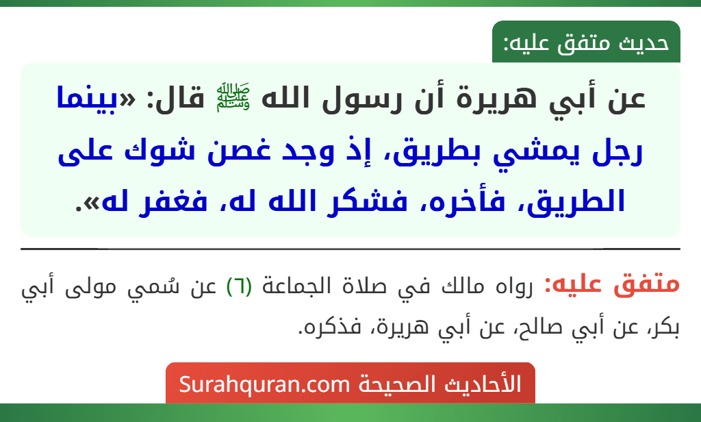 عن أبي هريرة أن رسول الله ﷺ قال: «بينما رجل يمشي بطريق، إذ وجد غصن شوك على الطريق، فأخره، فشكر الله له، فغفر له».