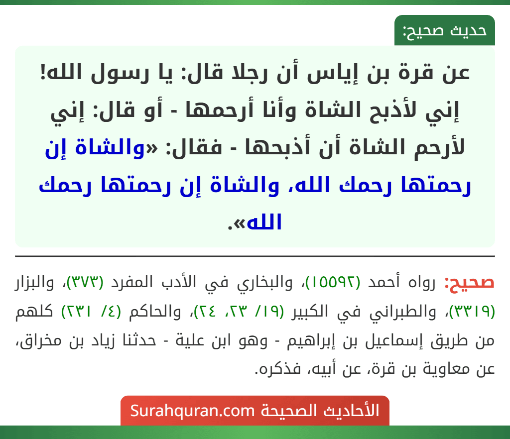 عن قرة بن إياس أن رجلا قال: يا رسول الله! إني لأذبح الشاة وأنا أرحمها - أو قال: إني لأرحم الشاة أن أذبحها - فقال: «والشاة إن رحمتها رحمك الله، والشاة إن رحمتها رحمك الله».