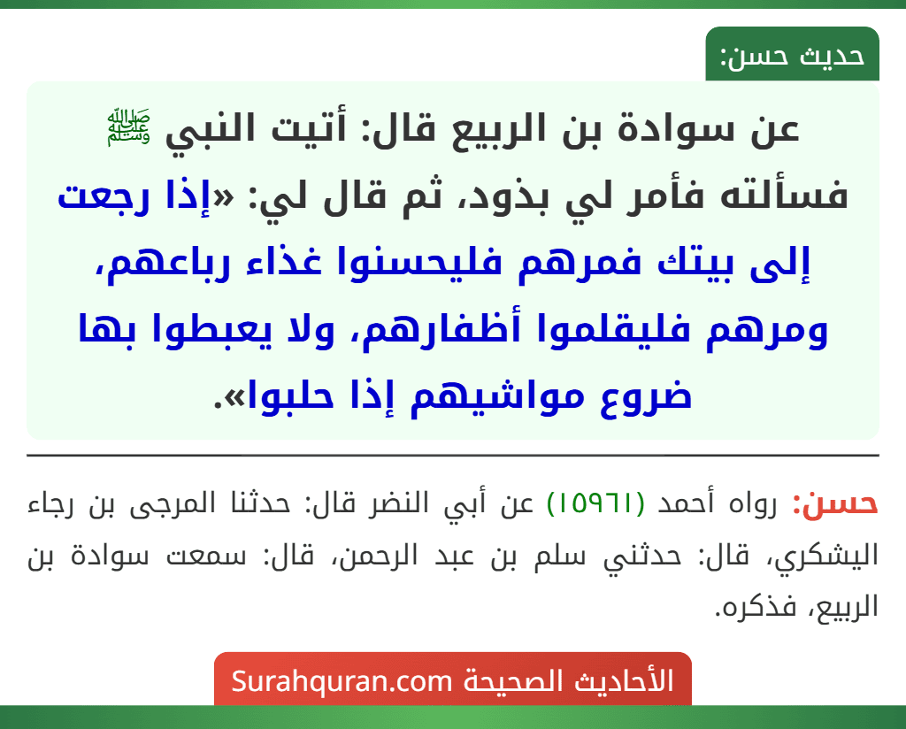 عن سوادة بن الربيع قال: أتيت النبي ﷺ فسألته فأمر لي بذود، ثم قال لي: «إذا رجعت إلى بيتك فمرهم فليحسنوا غذاء رباعهم، ومرهم فليقلموا أظفارهم، ولا يعبطوا بها ضروع مواشيهم إذا حلبوا».