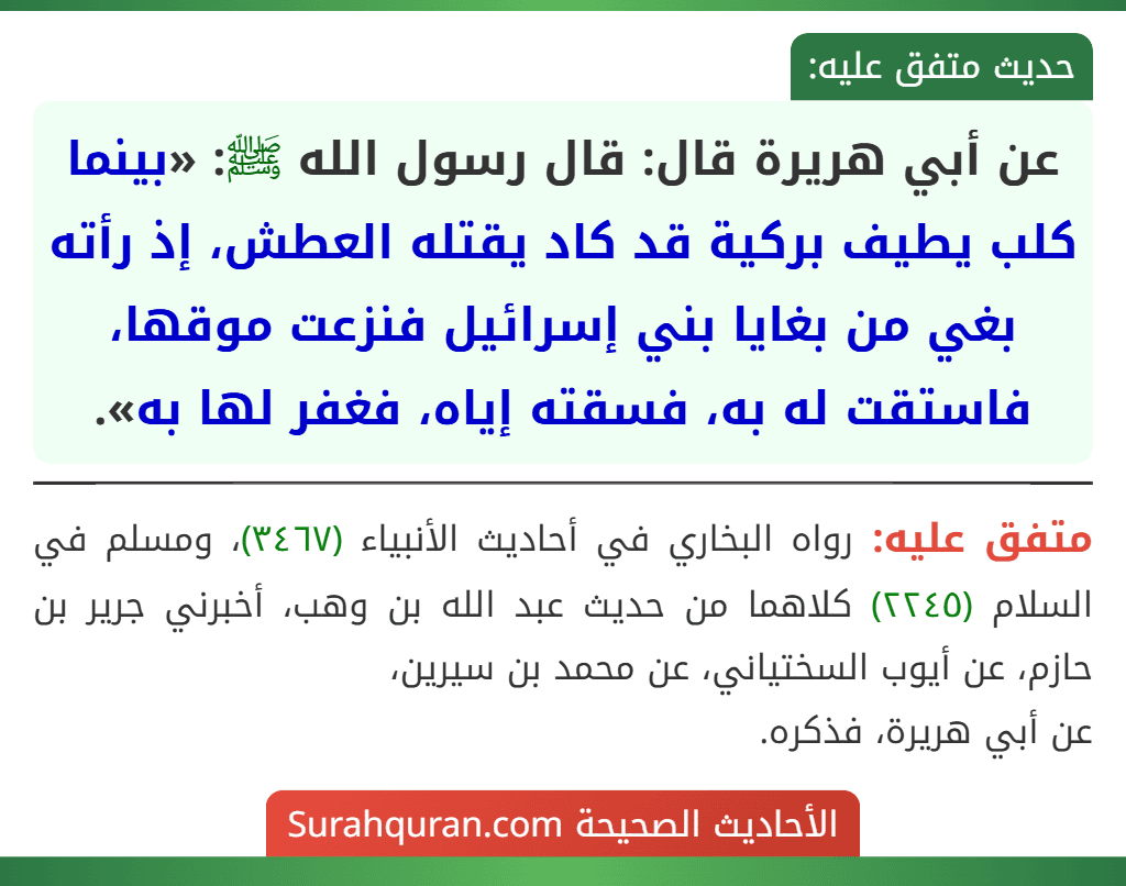 عن أبي هريرة قال: قال رسول الله ﷺ: «بينما كلب يطيف بركية قد كاد يقتله العطش، إذ رأته بغي من بغايا بني إسرائيل فنزعت موقها، فاستقت له به، فسقته إياه، فغفر لها به».