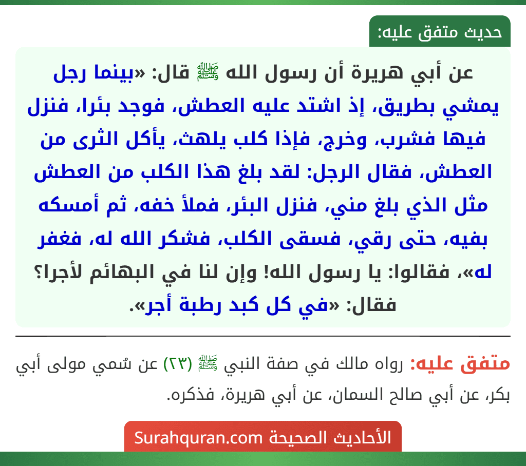 عن أبي هريرة أن رسول الله ﷺ قال: «بينما رجل يمشي بطريق، إذ اشتد عليه العطش، فوجد بئرا، فنزل فيها فشرب، وخرج، فإذا كلب يلهث، يأكل الثرى من العطش، فقال الرجل: لقد بلغ هذا الكلب من العطش مثل الذي بلغ مني، فنزل البئر، فملأ خفه، ثم أمسكه بفيه، حتى رقي، فسقى الكلب، فشكر الله له، فغفر له»، فقالوا: يا رسول الله! وإن لنا في البهائم لأجرا؟ فقال: «في كل كبد رطبة أجر».