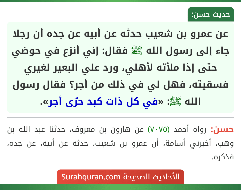 عن عمرو بن شعيب حدثه عن أبيه عن جده أن رجلا جاء إلى رسول الله ﷺ فقال: إني أنزع في حوضي حتى إذا ملأته لأهلي، ورد علي البعير لغيري فسقيته، فهل لي في ذلك من أجر؟ فقال رسول الله ﷺ: «في كل ذات كبد حرّى أجر». عن عمرو بن شعيب حدثه عن أبيه عن جده أن رجلا جاء إلى رسول الله ﷺ فقال: إني أنزع في حوضي حتى إذا ملأته لأهلي، ورد علي البعير لغيري فسقيته، فهل لي في ذلك من أجر؟ فقال رسول الله ﷺ: «في كل ذات كبد حرّى أجر».