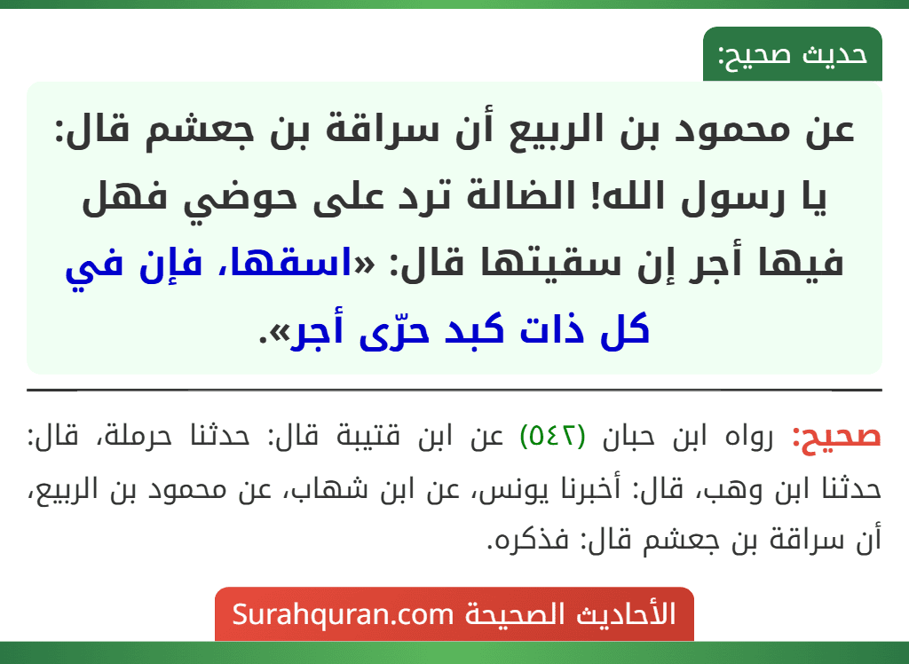 عن محمود بن الربيع أن سراقة بن جعشم قال: يا رسول الله! الضالة ترد على حوضي فهل فيها أجر إن سقيتها قال: «اسقها، فإن في كل ذات كبد حرّى أجر».