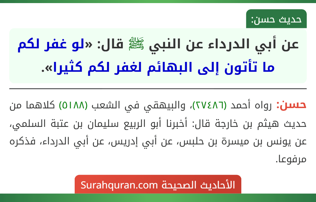عن أبي الدرداء عن النبي ﷺ قال: «لو غفر لكم ما تأتون إلى البهائم لغفر لكم كثيرا».