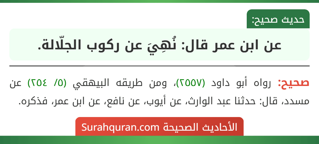 عن ابن عمر قال: نُهِيَ عن ركوب الجلّالة.