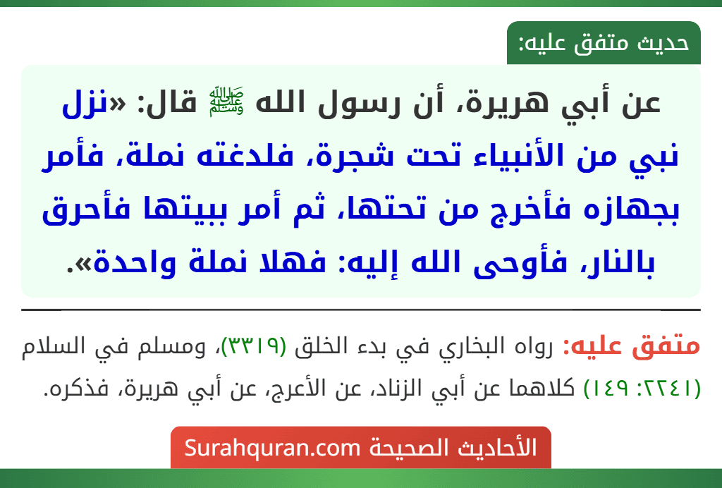 عن أبي هريرة، أن رسول الله ﷺ قال: «نزل نبي من الأنبياء تحت شجرة، فلدغته نملة، فأمر بجهازه فأخرج من تحتها، ثم أمر ببيتها فأحرق بالنار، فأوحى الله إليه: فهلا نملة واحدة».