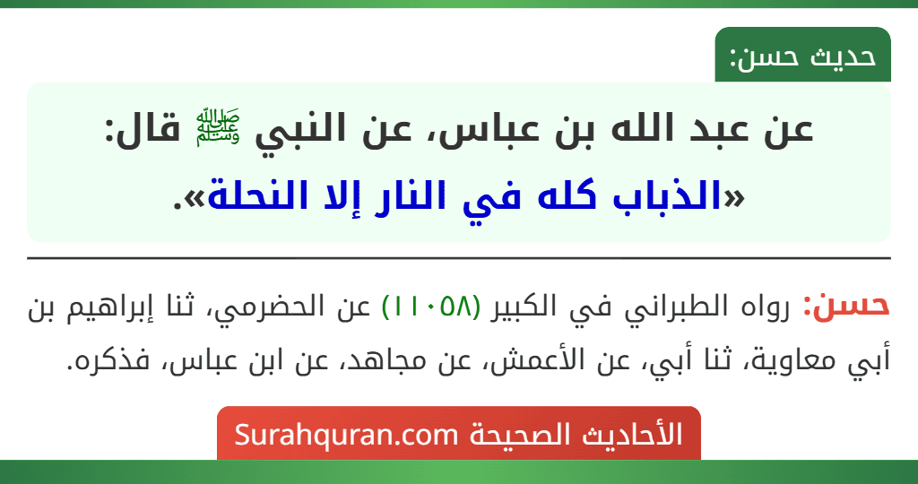 عن عبد الله بن عباس، عن النبي ﷺ قال: «الذباب كله في النار إلا النحلة».