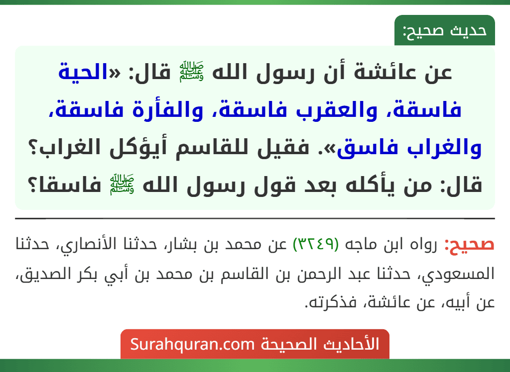 عن عائشة أن رسول الله ﷺ قال: «الحية فاسقة، والعقرب فاسقة، والفأرة فاسقة، والغراب فاسق». فقيل للقاسم أيؤكل الغراب؟ قال: من يأكله بعد قول رسول الله ﷺ فاسقا؟