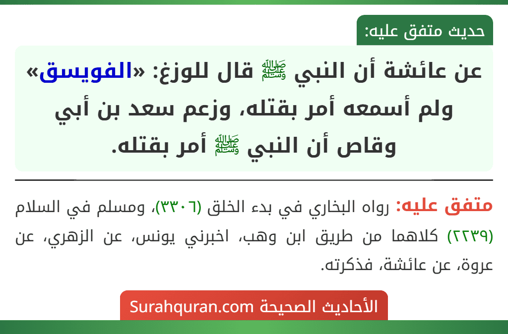 عن عائشة أن النبي ﷺ قال للوزغ: «الفويسق» ولم أسمعه أمر بقتله، وزعم سعد بن أبي وقاص أن النبي ﷺ أمر بقتله.