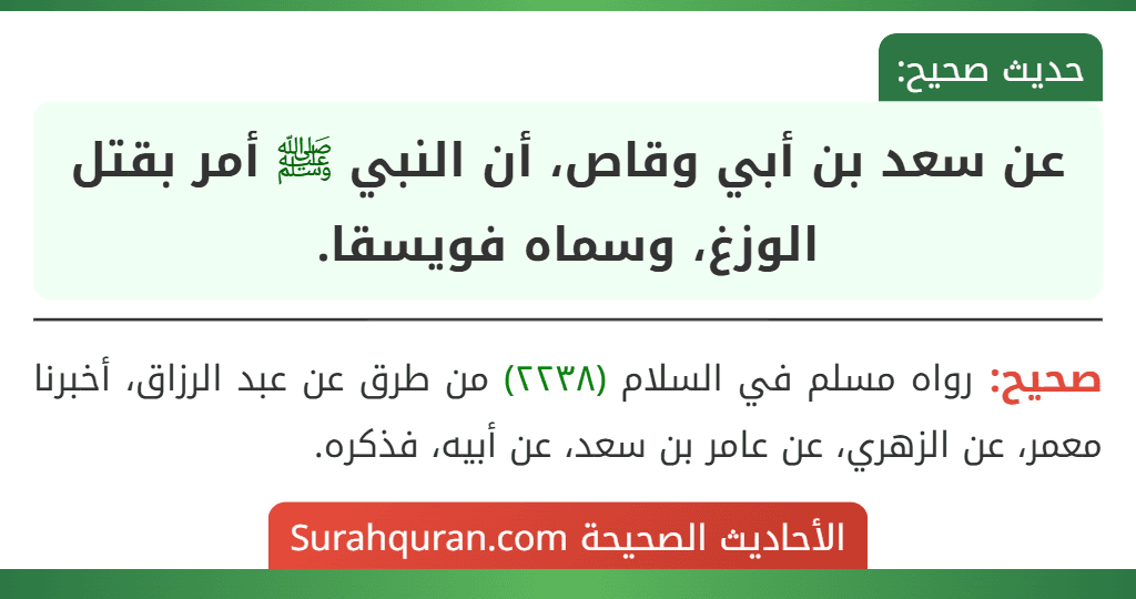 عن سعد بن أبي وقاص، أن النبي ﷺ أمر بقتل الوزغ، وسماه فويسقا.