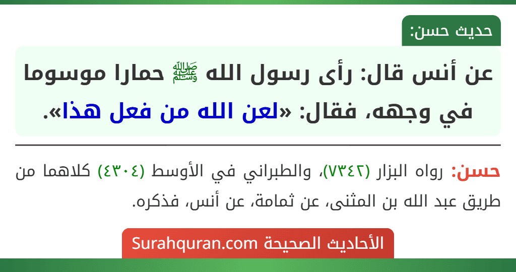 عن أنس قال: رأى رسول الله ﷺ حمارا موسوما في وجهه، فقال: «لعن الله من فعل هذا».