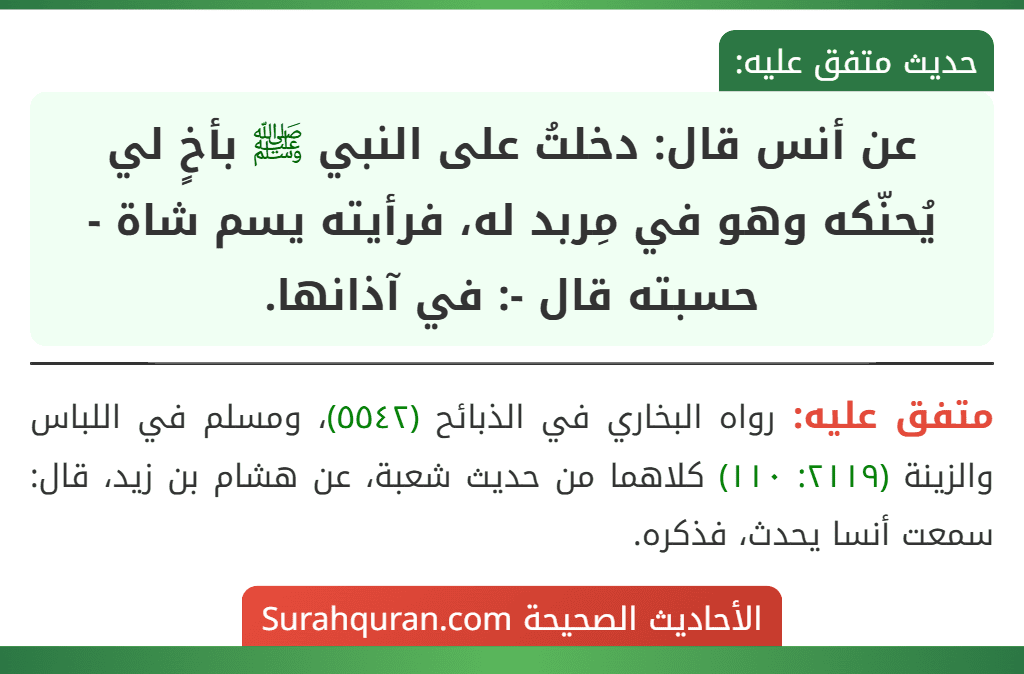 عن أنس قال: دخلتُ على النبي ﷺ بأخٍ لي يُحنّكه وهو في مِربد له، فرأيته يسم شاة - حسبته قال -: في آذانها.