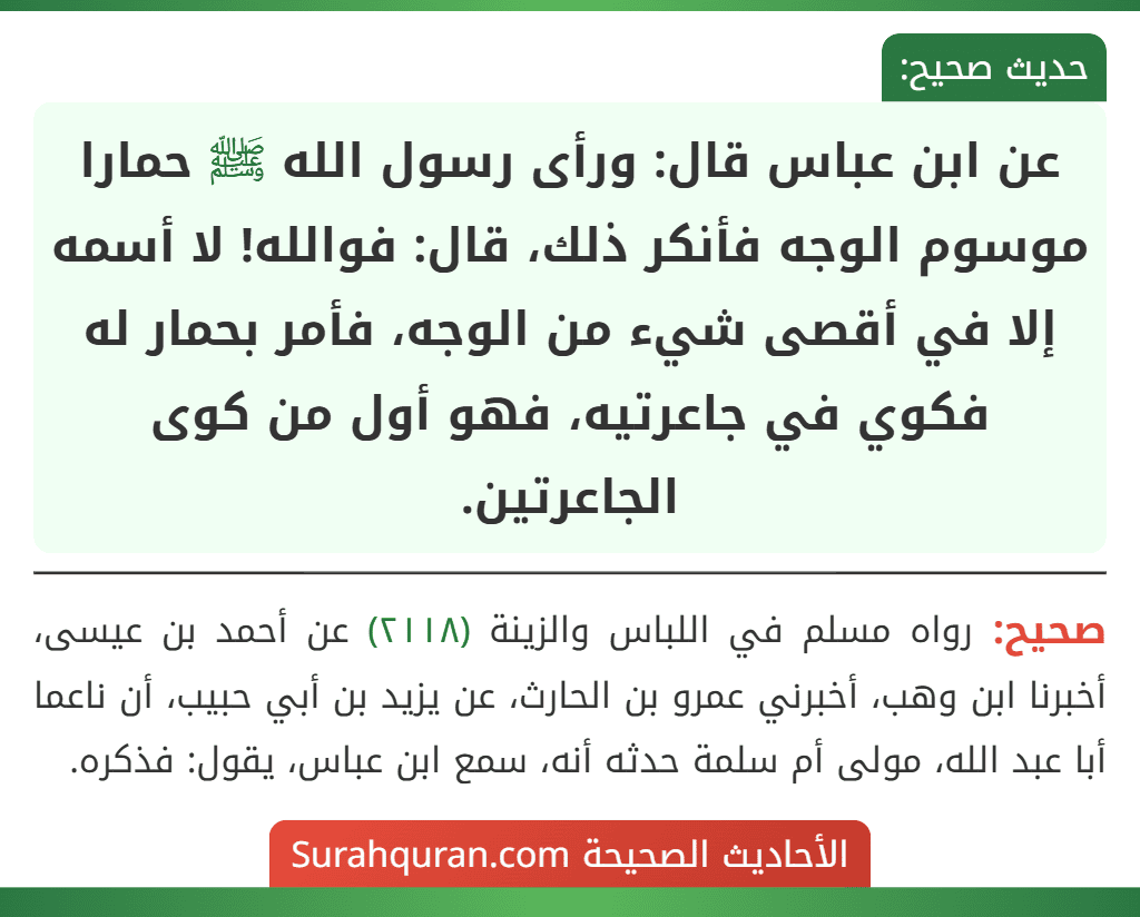 عن ابن عباس قال: ورأى رسول الله ﷺ حمارا موسوم الوجه فأنكر ذلك، قال: فوالله! لا أسمه إلا في أقصى شيء من الوجه، فأمر بحمار له فكوي في جاعرتيه، فهو أول من كوى الجاعرتين.