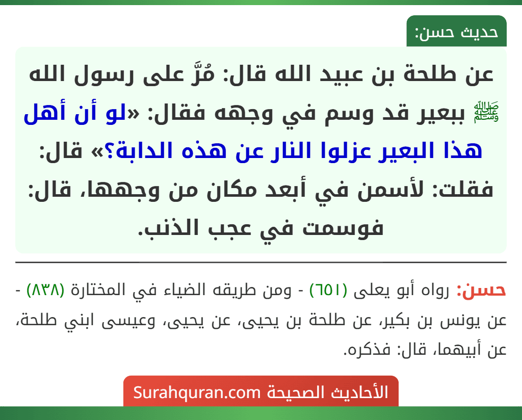عن طلحة بن عبيد الله قال: مُرَّ على رسول الله ﷺ ببعير قد وسم في وجهه فقال: «لو أن أهل هذا البعير عزلوا النار عن هذه الدابة؟» قال: فقلت: لأسمن في أبعد مكان من وجهها، قال: فوسمت في عجب الذنب.