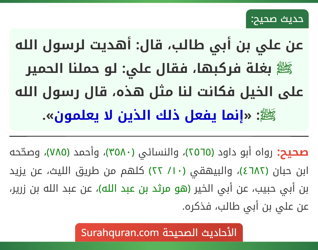 عن علي بن أبي طالب، قال: أهديت لرسول الله ﷺ بغلة فركبها، فقال علي: لو حملنا الحمير على الخيل فكانت لنا مثل هذه، قال رسول الله ﷺ: «إنما يفعل ذلك الذين لا يعلمون».