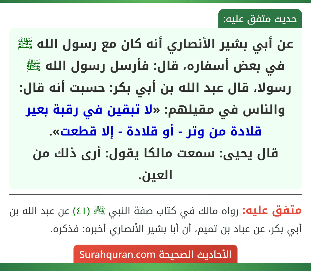 عن أبي بشير الأنصاري أنه كان مع رسول الله ﷺ في بعض أسفاره، قال: فأرسل رسول الله ﷺ رسولا، قال عبد الله بن أبي بكر: حسبت أنه قال: والناس في مقيلهم: «لا تبقين في رقبة بعير قلادة من وتر - أو قلادة - إلا قطعت».
قال يحيى: سمعت مالكا يقول: أرى ذلك من العين.