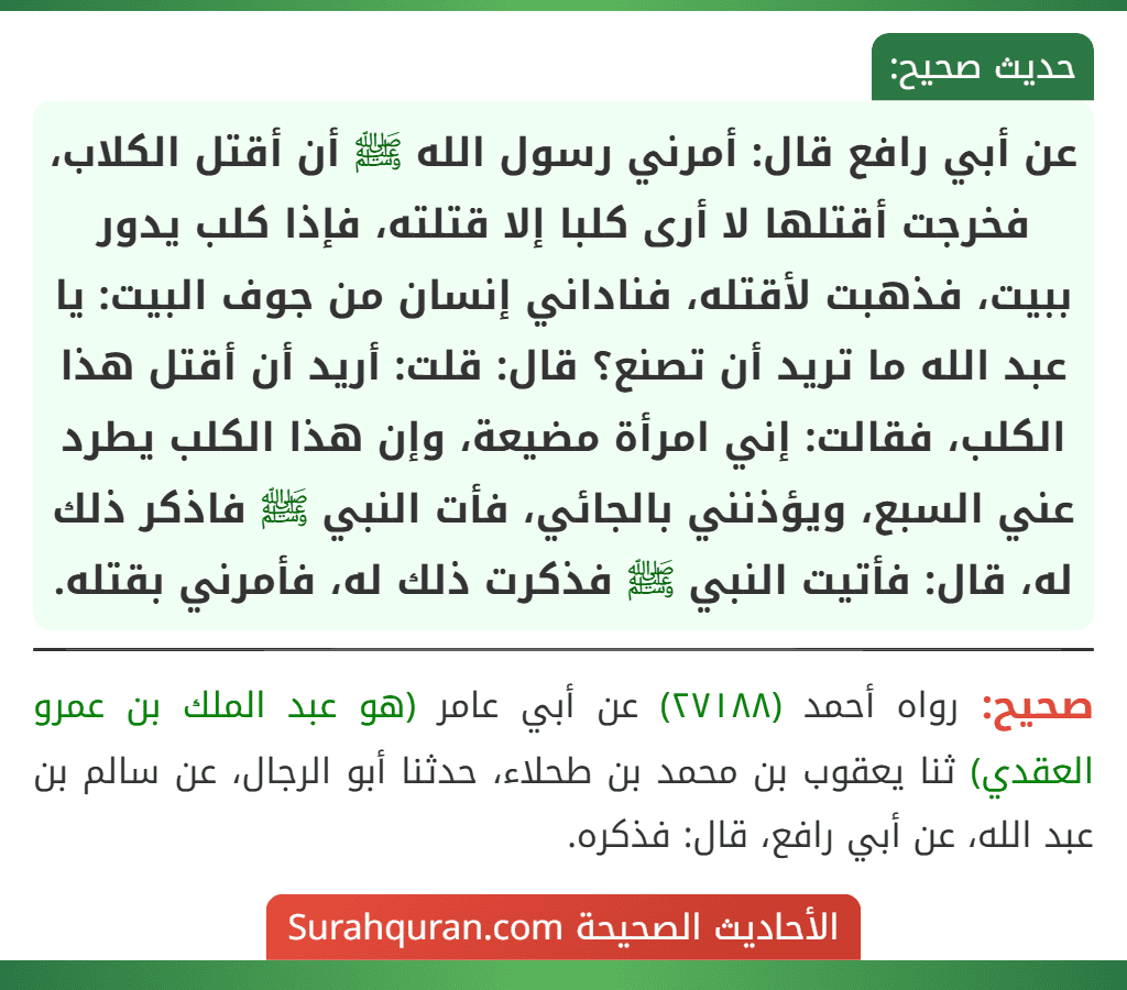 عن أبي رافع قال: أمرني رسول الله ﷺ أن أقتل الكلاب، فخرجت أقتلها لا أرى كلبا إلا قتلته، فإذا كلب يدور ببيت، فذهبت لأقتله، فناداني إنسان من جوف البيت: يا عبد الله ما تريد أن تصنع؟ قال: قلت: أريد أن أقتل هذا الكلب، فقالت: إني امرأة مضيعة، وإن هذا الكلب يطرد عني السبع، ويؤذنني بالجائي، فأت النبي ﷺ فاذكر ذلك له، قال: فأتيت النبي ﷺ فذكرت ذلك له، فأمرني بقتله.