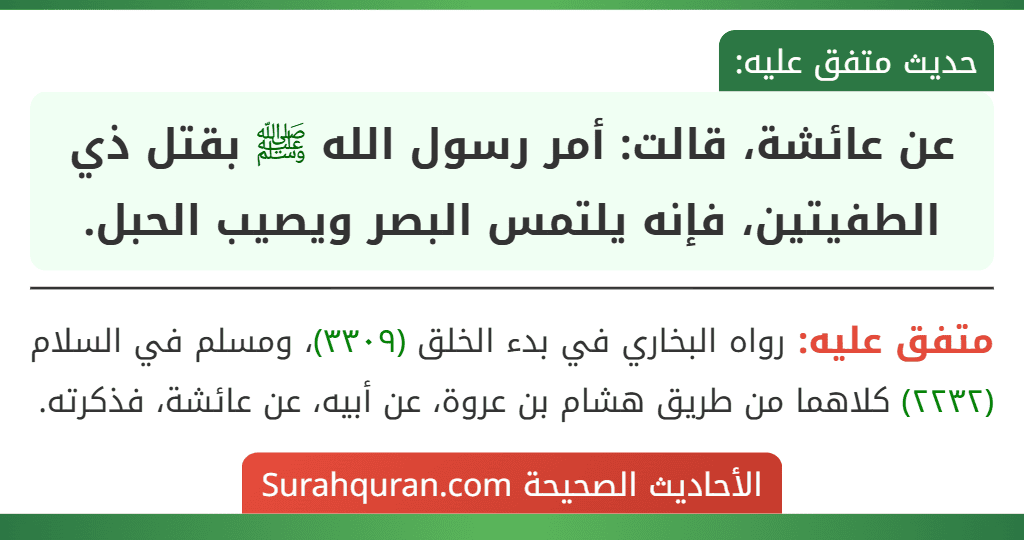 عن عائشة، قالت: أمر رسول الله ﷺ بقتل ذي الطفيتين، فإنه يلتمس البصر ويصيب الحبل.