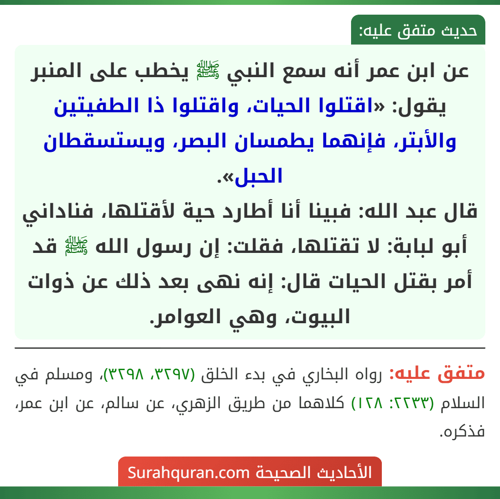 عن ابن عمر أنه سمع النبي ﷺ يخطب على المنبر يقول: «اقتلوا الحيات، واقتلوا ذا الطفيتين والأبتر، فإنهما يطمسان البصر، ويستسقطان الحبل».
قال عبد الله: فبينا أنا أطارد حية لأقتلها، فناداني أبو لبابة: لا تقتلها، فقلت: إن رسول الله ﷺ قد أمر بقتل الحيات قال: إنه نهى بعد ذلك عن ذوات البيوت، وهي العوامر.