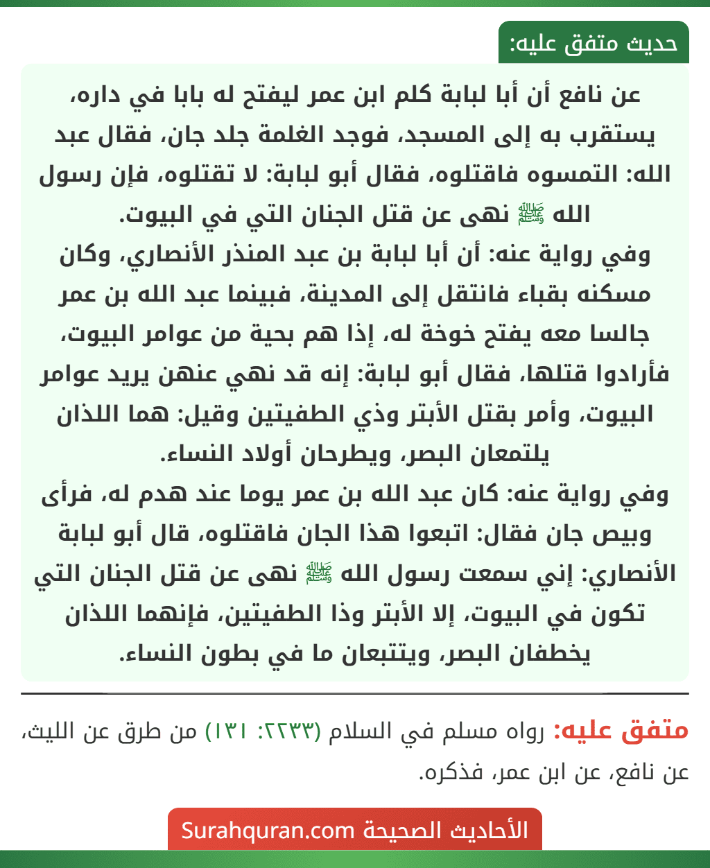 عن نافع أن أبا لبابة كلم ابن عمر ليفتح له بابا في داره، يستقرب به إلى المسجد، فوجد الغلمة جلد جان، فقال عبد الله: التمسوه فاقتلوه، فقال أبو لبابة: لا تقتلوه، فإن رسول الله ﷺ نهى عن قتل الجنان التي في البيوت.
وفي رواية عنه: أن أبا لبابة بن عبد المنذر الأنصاري، وكان مسكنه بقباء فانتقل إلى المدينة، فبينما عبد الله بن عمر جالسا معه يفتح خوخة له، إذا هم بحية من عوامر البيوت، فأرادوا قتلها، فقال أبو لبابة: إنه قد نهي عنهن يريد عوامر البيوت، وأمر بقتل الأبتر وذي الطفيتين وقيل: هما اللذان يلتمعان البصر، ويطرحان أولاد النساء.
وفي رواية عنه: كان عبد الله بن عمر يوما عند هدم له، فرأى وبيص جان فقال: اتبعوا هذا الجان فاقتلوه، قال أبو لبابة الأنصاري: إني سمعت رسول الله ﷺ نهى عن قتل الجنان التي تكون في البيوت، إلا الأبتر وذا الطفيتين، فإنهما اللذان يخطفان البصر، ويتتبعان ما في بطون النساء.