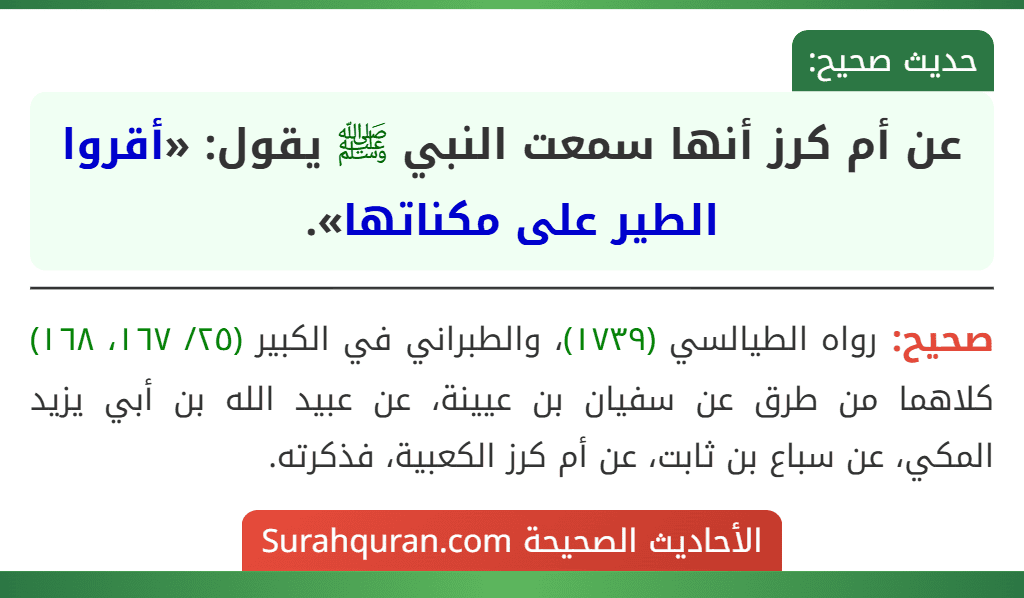 عن أم كرز أنها سمعت النبي ﷺ يقول: «أقروا الطير على مكناتها».