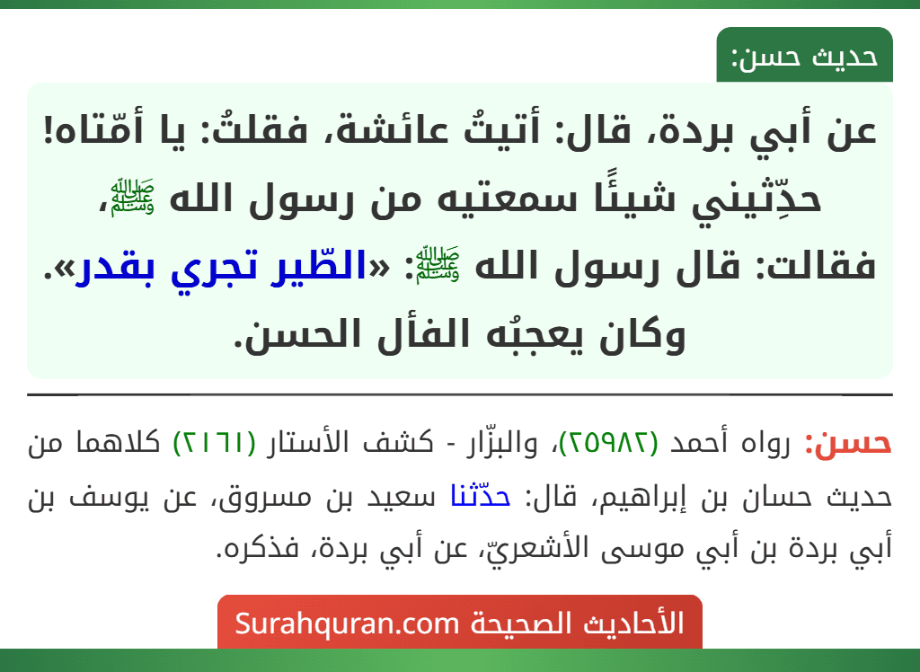 عن أبي بردة، قال: أتيتُ عائشة، فقلتُ: يا أمّتاه! حدِّثيني شيئًا سمعتيه من رسول الله ﷺ، فقالت: قال رسول الله ﷺ: «الطّير تجري بقدر». وكان يعجبُه الفأل الحسن. عن أبي بردة، قال: أتيتُ عائشة، فقلتُ: يا أمّتاه! حدِّثيني شيئًا سمعتيه من رسول الله ﷺ، فقالت: قال رسول الله ﷺ: «الطّير تجري بقدر». وكان يعجبُه الفأل الحسن.