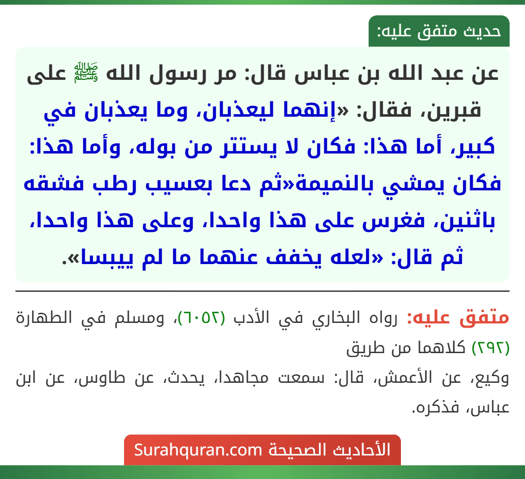 عن عبد الله بن عباس قال: مر رسول الله ﷺ على قبرين، فقال: «إنهما ليعذبان، وما يعذبان في كبير، أما هذا: فكان لا يستتر من بوله، وأما هذا: فكان يمشي بالنميمة«ثم دعا بعسيب رطب فشقه باثنين، فغرس على هذا واحدا، وعلى هذا واحدا، ثم قال: «لعله يخفف عنهما ما لم ييبسا».