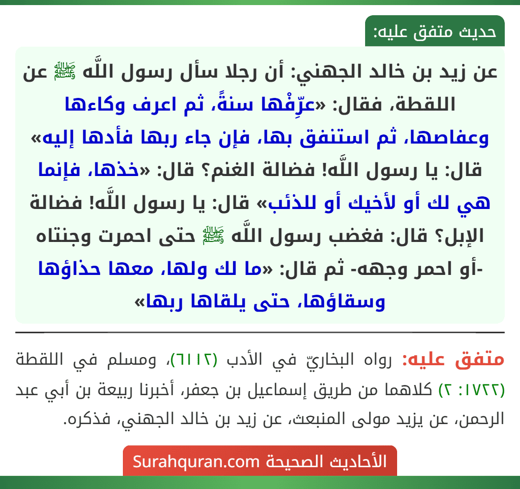 عن زيد بن خالد الجهني: أن رجلا سأل رسول اللَّه ﷺ عن اللقطة، فقال: «عرِّفْها سنةً، ثم اعرف وكاءها وعفاصها، ثم استنفق بها، فإن جاء ربها فأدها إليه» قال: يا رسول اللَّه! فضالة الغنم؟ قال: «خذها، فإنما هي لك أو لأخيك أو للذئب» قال: يا رسول اللَّه! فضالة الإبل؟ قال: فغضب رسول اللَّه ﷺ حتى احمرت وجنتاه -أو احمر وجهه- ثم قال: «ما لك ولها، معها حذاؤها وسقاؤها، حتى يلقاها ربها»