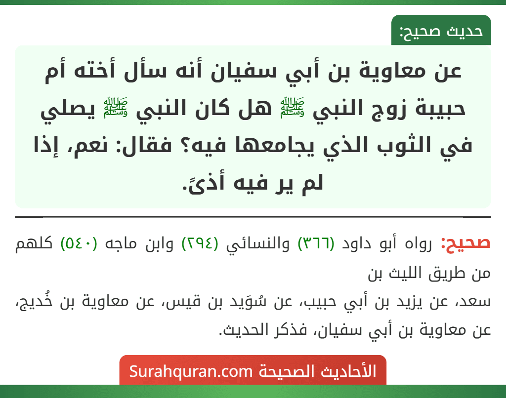 عن معاوية بن أبي سفيان أنه سأل أخته أم حبيبة زوج النبي ﷺ هل كان النبي ﷺ يصلي في الثوب الذي يجامعها فيه؟ فقال: نعم، إذا لم ير فيه أذىً.
