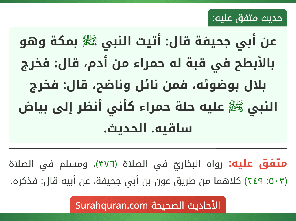 عن أبي جحيفة قال: أتيت النبي ﷺ بمكة وهو بالأبطح في قبة له حمراء من أدم، قال: فخرج بلال بوضوئه، فمن نائل وناضح، قال: فخرج النبي ﷺ عليه حلة حمراء كأني أنظر إلى بياض ساقيه. الحديث.