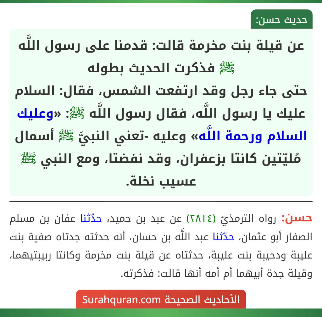 عن قيلة بنت مخرمة قالت: قدمنا على رسول اللَّه ﷺ فذكرت الحديث بطوله
حتى جاء رجل وقد ارتفعت الشمس، فقال: السلام عليك يا رسول اللَّه، فقال رسول اللَّه ﷺ: «وعليك السلام ورحمة اللَّه» وعليه -تعني النبيَّ ﷺ أسمال مُليّتين كانتا بزعفران، وقد نفضتا، ومع النبي ﷺ عسيب نخلة.