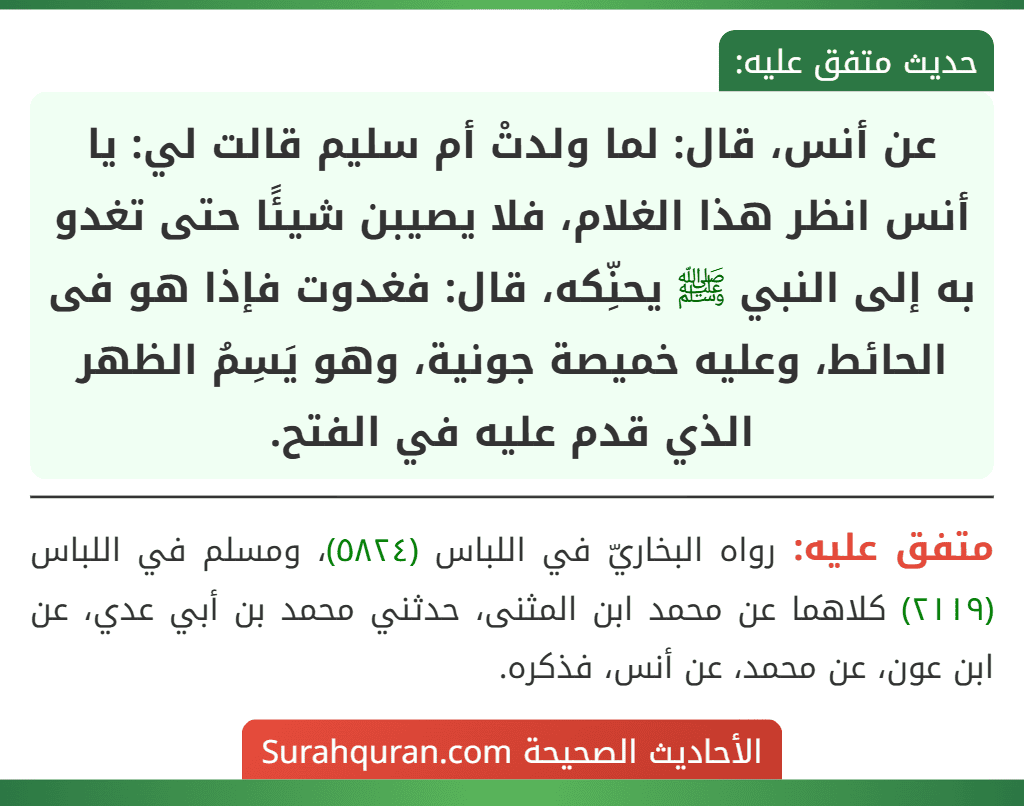 عن أنس، قال: لما ولدتْ أم سليم قالت لي: يا أنس انظر هذا الغلام، فلا يصيبن شيئًا حتى تغدو به إلى النبي ﷺ يحنِّكه، قال: فغدوت فإذا هو فى الحائط، وعليه خميصة جونية، وهو يَسِمُ الظهر الذي قدم عليه في الفتح. عن أنس، قال: لما ولدتْ أم سليم قالت لي: يا أنس انظر هذا الغلام، فلا يصيبن شيئًا حتى تغدو به إلى النبي ﷺ يحنِّكه، قال: فغدوت فإذا هو فى الحائط، وعليه خميصة جونية، وهو يَسِمُ الظهر الذي قدم عليه في الفتح.