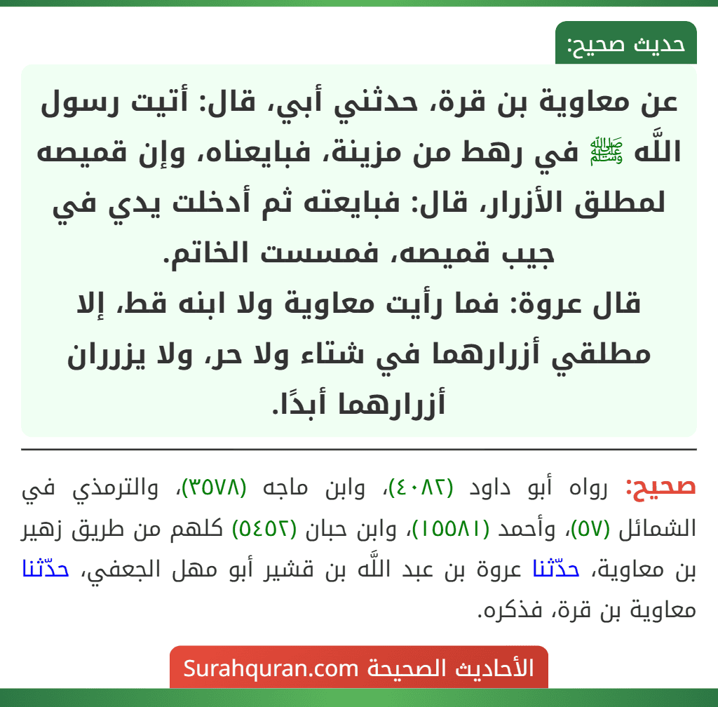 عن معاوية بن قرة، حدثني أبي، قال: أتيت رسول اللَّه ﷺ في رهط من مزينة، فبايعناه، وإن قميصه لمطلق الأزرار، قال: فبايعته ثم أدخلت يدي في جيب قميصه، فمسست الخاتم.
قال عروة: فما رأيت معاوية ولا ابنه قط، إلا مطلقي أزرارهما في شتاء ولا حر، ولا يزرران أزرارهما أبدًا. عن معاوية بن قرة، حدثني أبي، قال: أتيت رسول اللَّه ﷺ في رهط من مزينة، فبايعناه، وإن قميصه لمطلق الأزرار، قال: فبايعته ثم أدخلت يدي في جيب قميصه، فمسست الخاتم.
قال عروة: فما رأيت معاوية ولا ابنه قط، إلا مطلقي أزرارهما في شتاء ولا حر، ولا يزرران أزرارهما أبدًا.