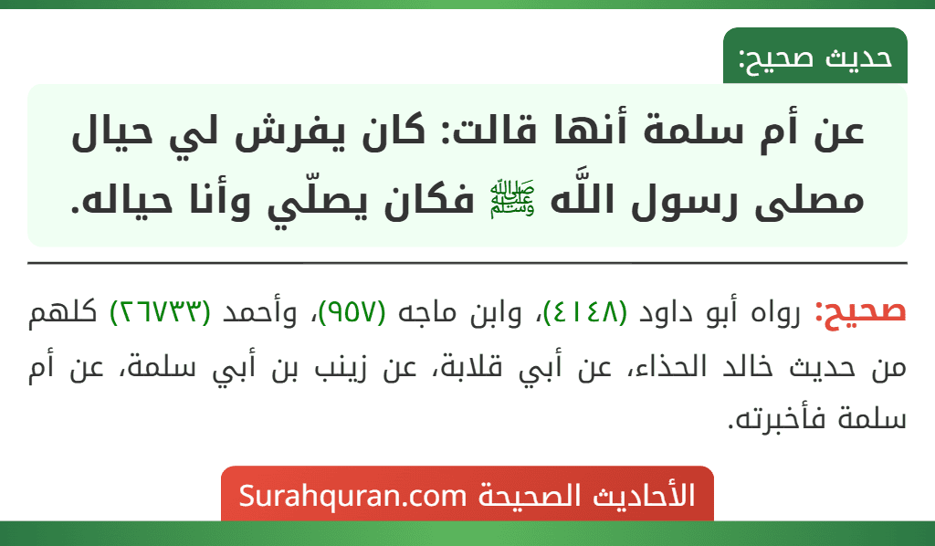عن أم سلمة أنها قالت: كان يفرش لي حيال مصلى رسول اللَّه ﷺ فكان يصلّي وأنا حياله.