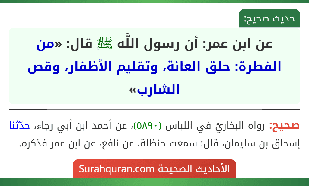 عن ابن عمر: أن رسول اللَّه ﷺ قال: «من الفطرة: حلق العانة، وتقليم الأظفار، وقص الشارب»