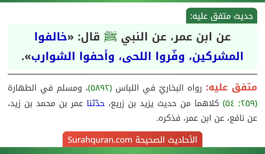عن ابن عمر، عن النبي ﷺ قال: «خالفوا المشركين، وفّروا اللحى، وأحفوا الشوارب». عن ابن عمر، عن النبي ﷺ قال: «خالفوا المشركين، وفّروا اللحى، وأحفوا الشوارب».
