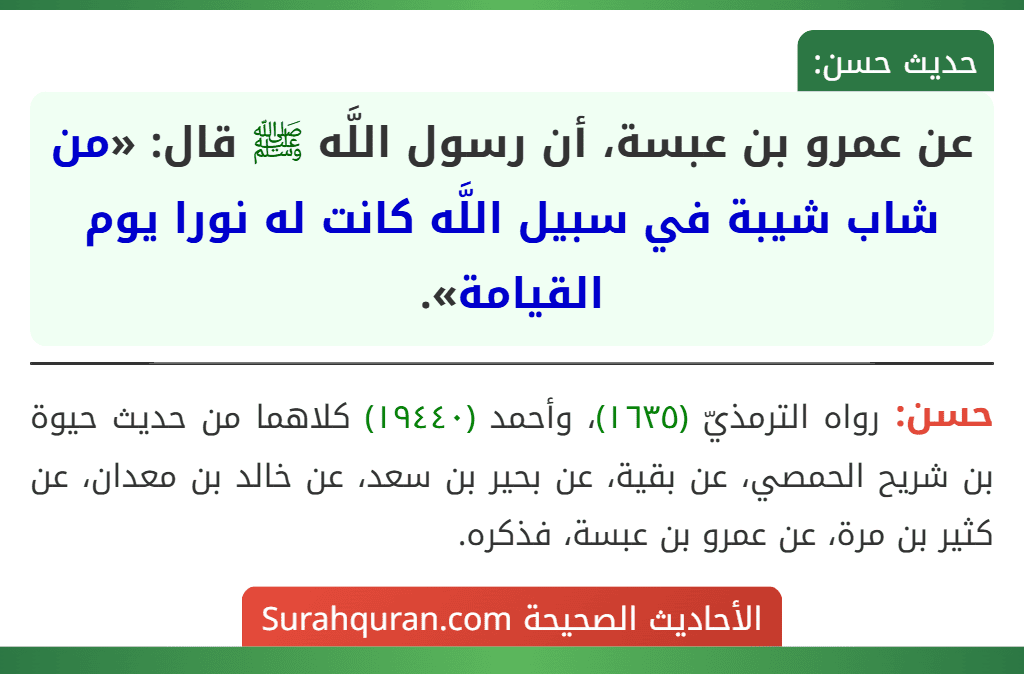 عن عمرو بن عبسة، أن رسول اللَّه ﷺ قال: «من شاب شيبة في سبيل اللَّه كانت له نورا يوم القيامة».